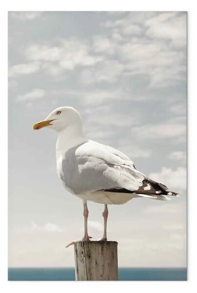 Quadro contemporaneo Uccello osservatore - gabbiano sul mare e cielo nuvoloso