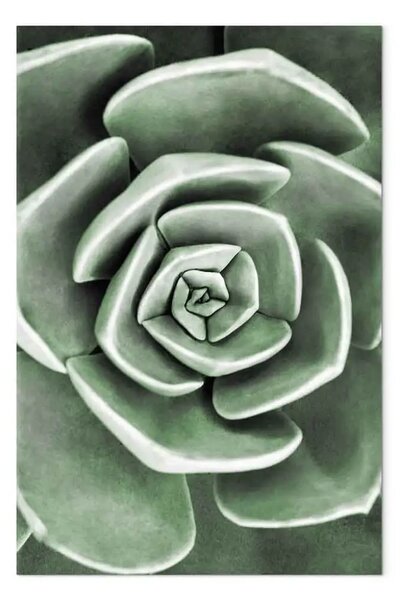 Quadro su tela Rinascita del verde - natura del cactus tonalità sagegreen