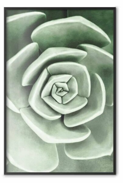 Poster: Bellissima pianta succulenta: composizione vegetale scandinava