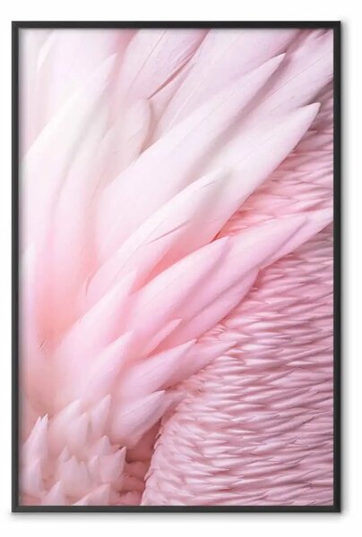 Poster: Piume d'angelo: una composizione di delicate piume rosa