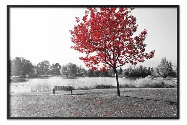 Poster: Albero con foglie rosse - paesaggio lago in bianco e nero