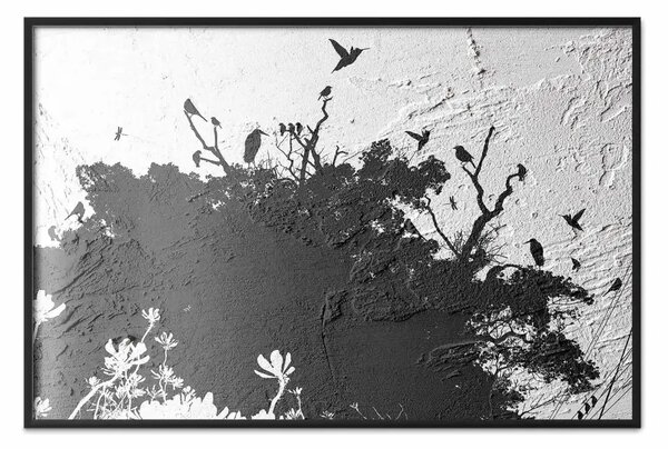 Poster: Ombra della natura - alberi e uccelli