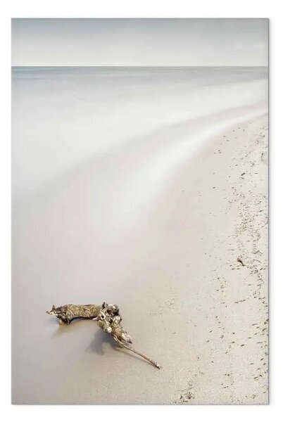 Quadro su tela Costa scandinava - mare calmo e sabbia delicata sulla spiaggia