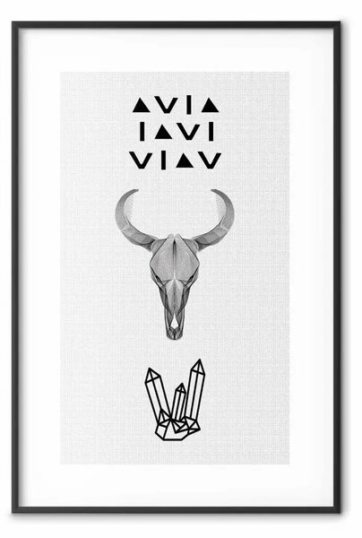 Poster: Cranio animale - iscrizioni e cristalli