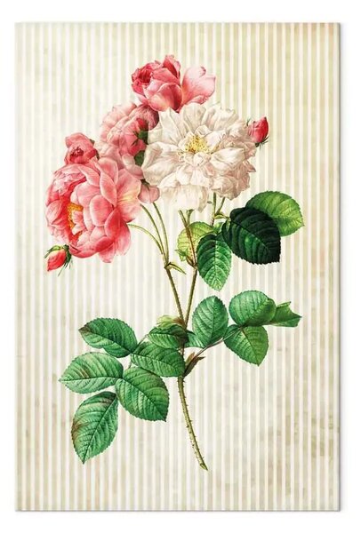 Quadro Rose colorate in stile retrò - natura floreale d'ispirazione