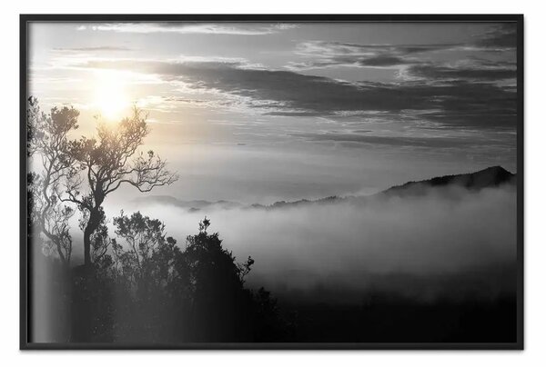 Poster: Alba - paesaggio scuro di alberi sullo sfondo di nuvole e fitta nebbia
