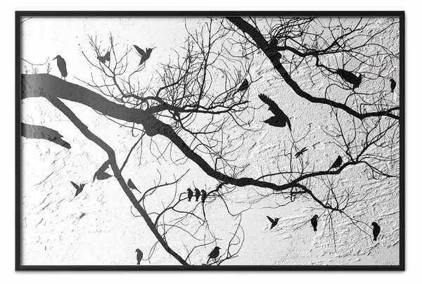 Poster: Incontro degli uccelli - albero e uccelli sui rami