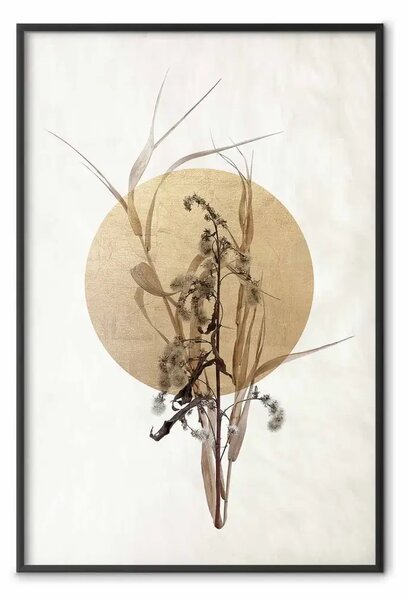 Poster: Bouquet di campo: composizione beige in stile giapponese con cerchio