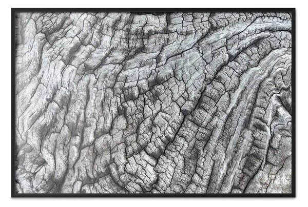Poster: Perfezione strutturale: composizione in bianco e nero legno