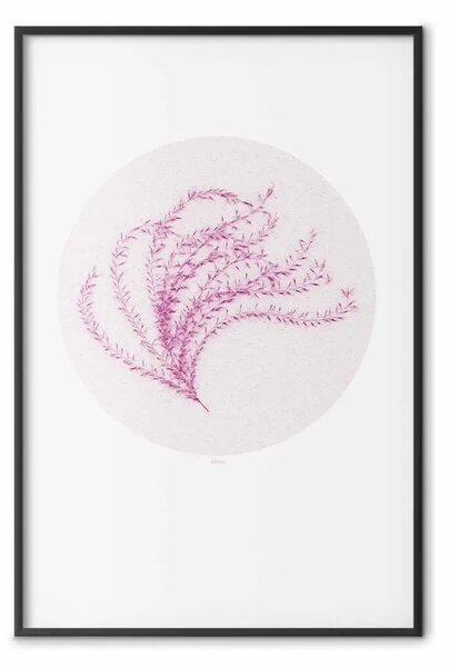 Poster: Finezza della natura - pianta rosa e ruota su sfondo chiaro