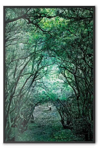Poster: Pergola verde - paesaggio con passaggio tra foglie e rami di alberi