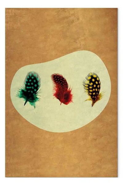 Quadro Tre piume colorate - elemento della natura su uno sfondo d'epoca