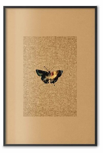 Poster: Farfalla collezione - autunno marrone con insetto