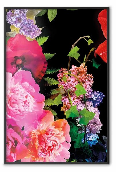 Poster: Terra fiori - colorata vegetale su nero