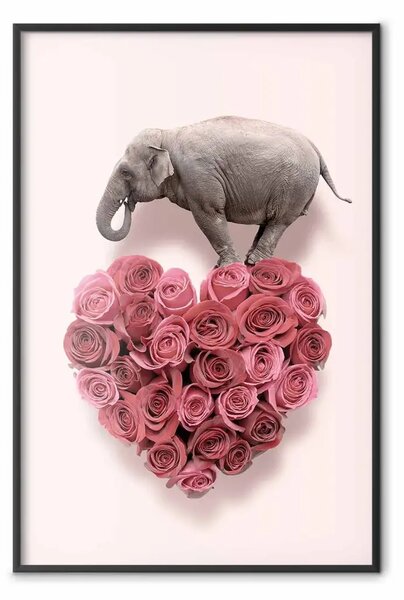 Poster: Elefante amore - cuore di rose e animale rosa