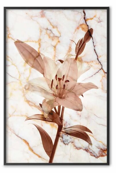Poster: Giglio milanese - composizione botanica con fiore su sfondo di marmo
