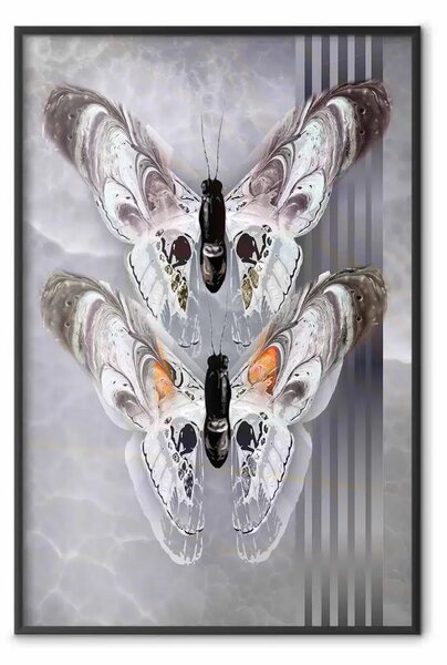 Poster: Coppia farfalle - moderna con insetti