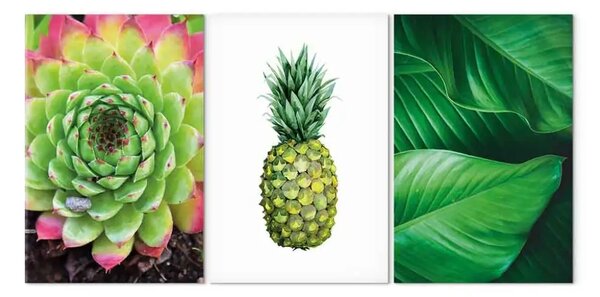 Quadro contemporaneo Natura tropicale - trittico con piante verdi e ananas