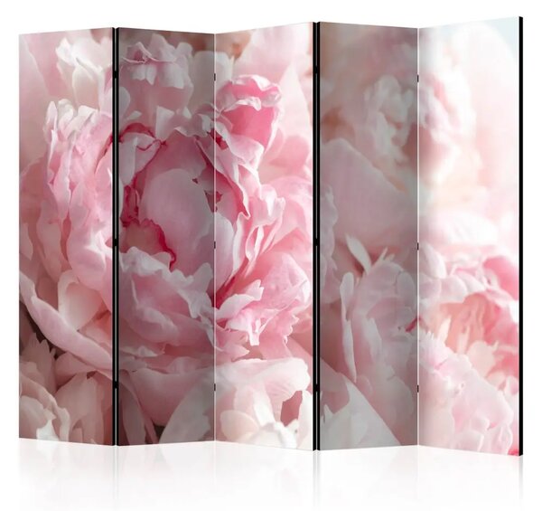 Paravento Peonie dolci II - petali rosa su sfondo di raggi solari