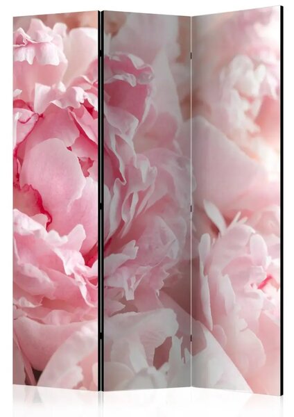 Paravento separè Peonie dolci - petali rosa su sfondo di luce luminosa