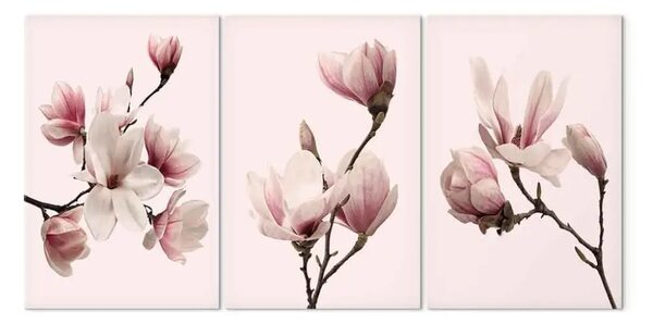 Quadro moderno Magnolie di primavera (3 pezzi)