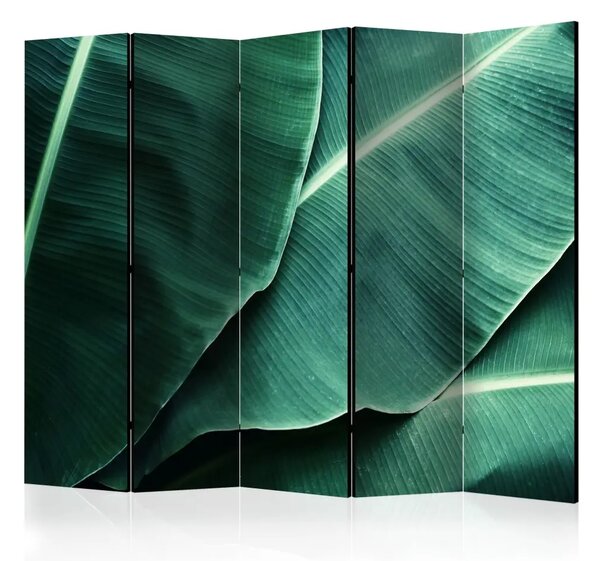Paravento Foglie di banano II - texture di foglie verdi con dettagli distinti