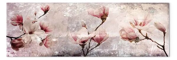 Quadro su tela Fascino della magnolia stretto