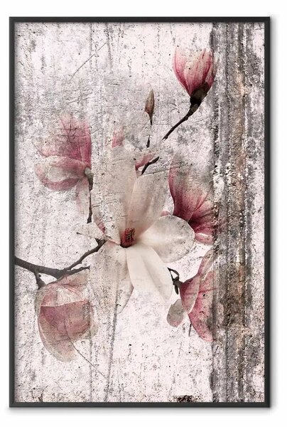 Poster: Magnolia commemorativa - fiori vintage