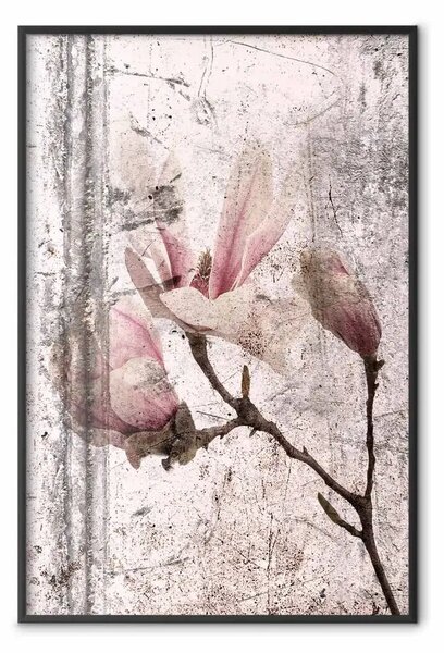 Poster: Magnolia squisita - composizione vegetale con fiori in stile vintage