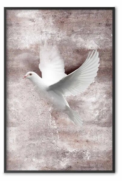 Poster: Amore in volo - composizione con uccello bianco su sfondo irregolare