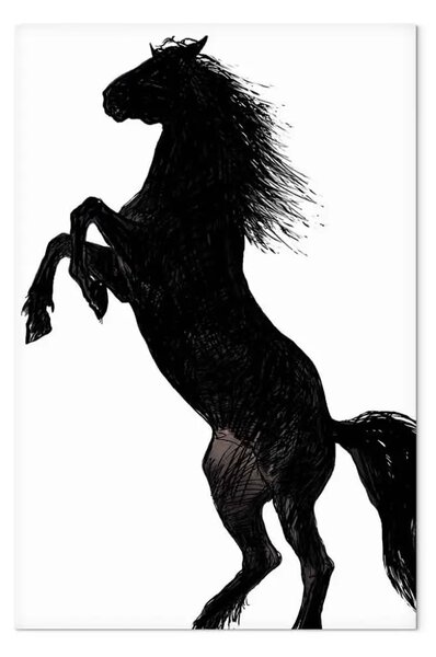 Quadro Cavallo predatore - silhouette di cavallo in bianco e nero