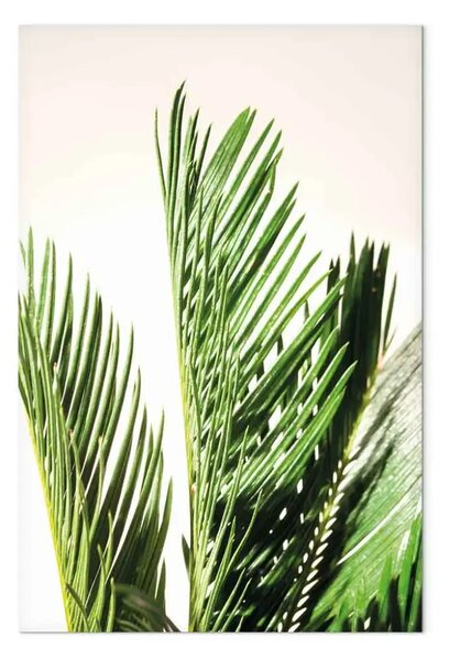 Quadro moderno Tre foglie di palma - le foglie di un albero tropicale che si muovono nel vento su uno sfondo beige
