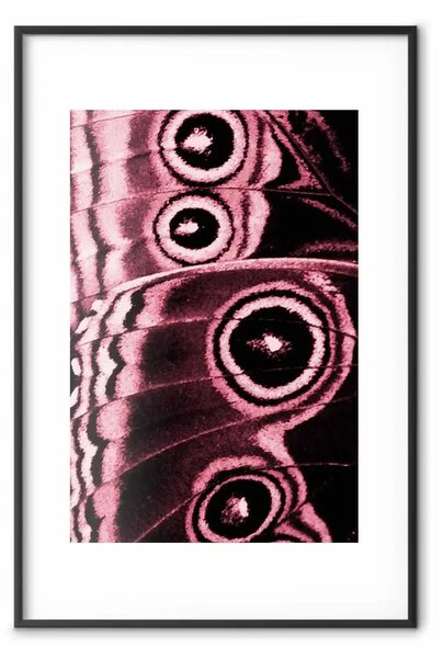 Poster: Sottigliezze natura - astrazione ali farfalla