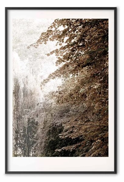 Poster: Parco in seppia - paesaggio autunnale con vista su alberi fitti