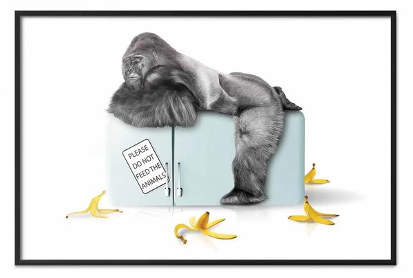 Poster: Gorilla affamato - composizione divertente con scimmia e banana
