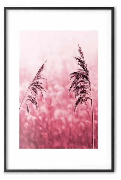 Poster: Spighe rubino - piante rosa
