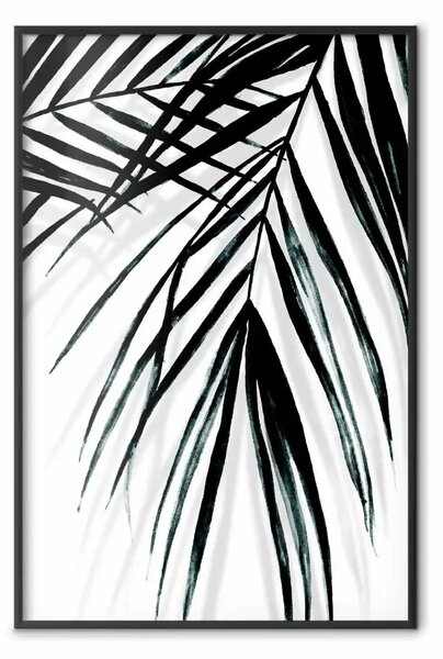 Poster: Relax di palma - foglie tropicali in b/n