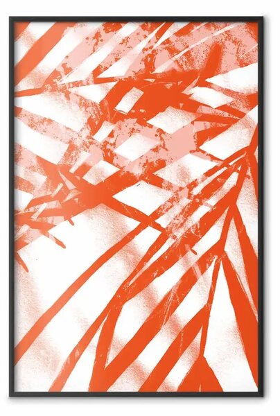 Poster: Composizione di palma - foglie arancioni-rosse di pianta tropicale