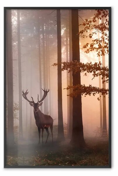 Poster: Mattina - cervo selvatico tra alberi autunnali