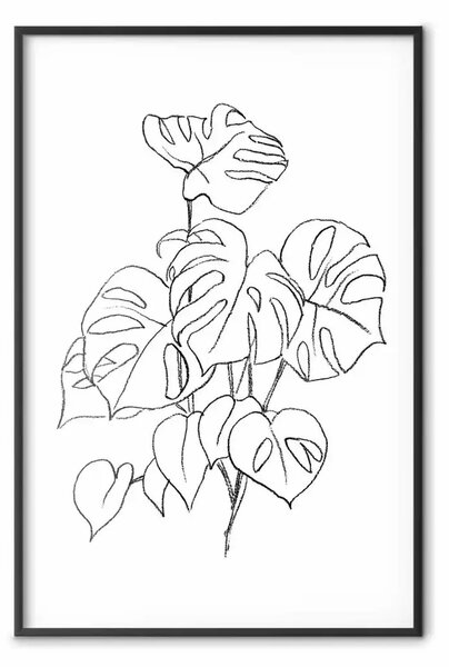 Poster: Monstera monocromatica - lineart in bianco e nero in foglie esotiche