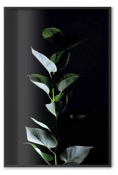 Poster: Alla luce della luna - composizione botanica con pianta su sfondo nero