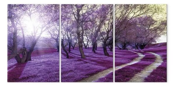 Quadro su tela Vicolo viola - paesaggio della foresta nella luce della lavanda