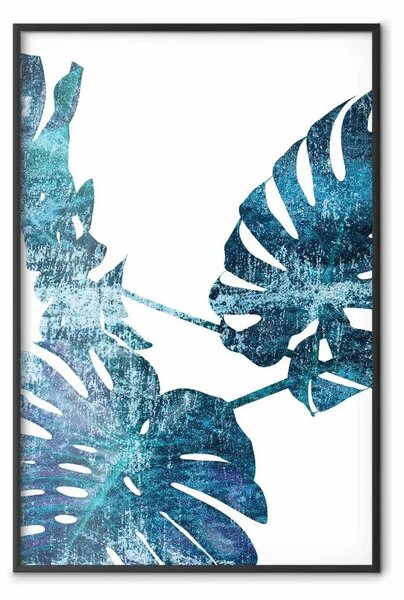 Poster: Monstera smeraldo - astratte foglie blu su sfondo bianco