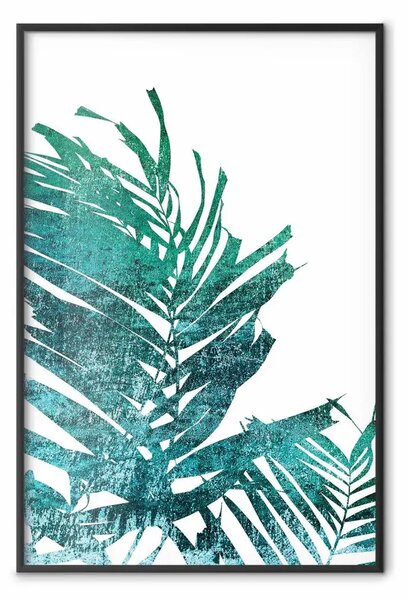 Poster: Palma smeraldo - foglie verdi di palma su sfondo bianco
