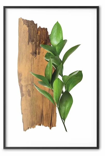 Poster: Natura affascinante - pianta e pezzo di legno su sfondo bianco