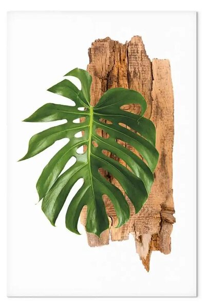 Quadro moderno Segni zodiacali e piante: ccorpione minimalista, composizione botanica