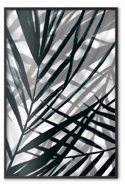 Poster: Ombra foglie - foglie in bianco e nero che proiettano ombra