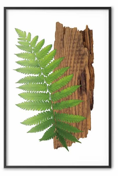 Poster: Determinazione natura - pianta verde e legno su sfondo bianco