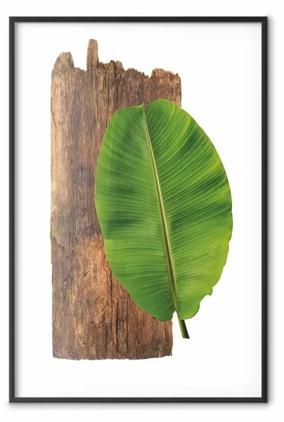 Poster: Serietà della natura - foglia verde e pezzo di legno su sfondo bianco