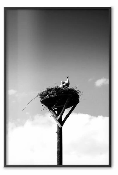 Poster: Nido cicogna - uccelli nel nido con sfondo di cielo e nuvole